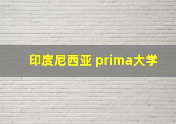 印度尼西亚 prima大学